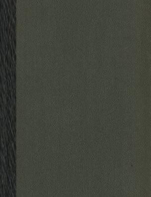 Энциклопедический словарь. Аа – Вяхирь