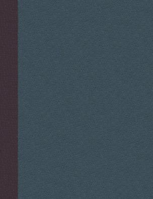 История человеческой культуры