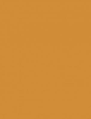 История умственного развития Европы