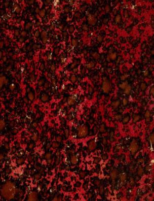 Сестра бедных