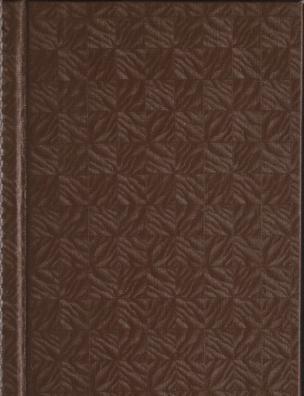 Библиотека творений св. отцов и учителей церкви западных. Творения блаженного Августина, епископа Иппонийского